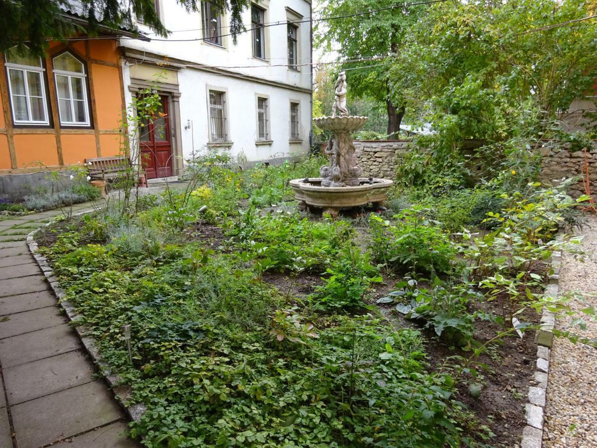 Hummel Hostel - Historische Stadtvilla Mit Garten Weimar  Extérieur photo