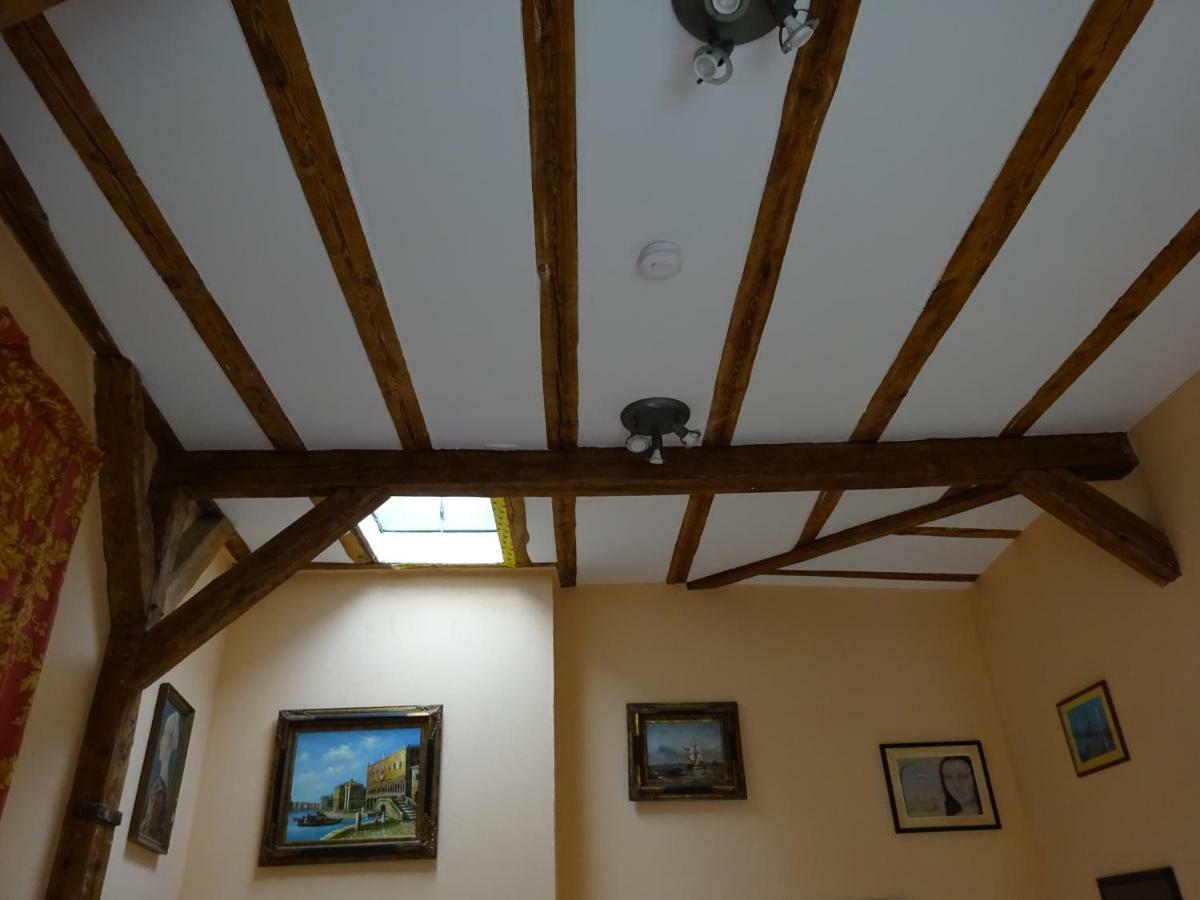 Hummel Hostel - Historische Stadtvilla Mit Garten Weimar  Extérieur photo